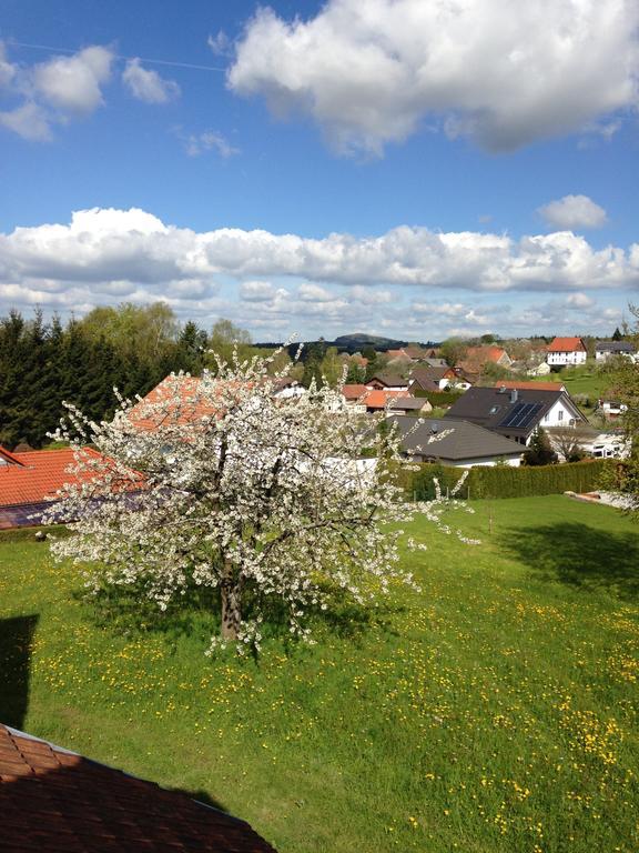 Ferienhaus Annabell Weisbach  Extérieur photo